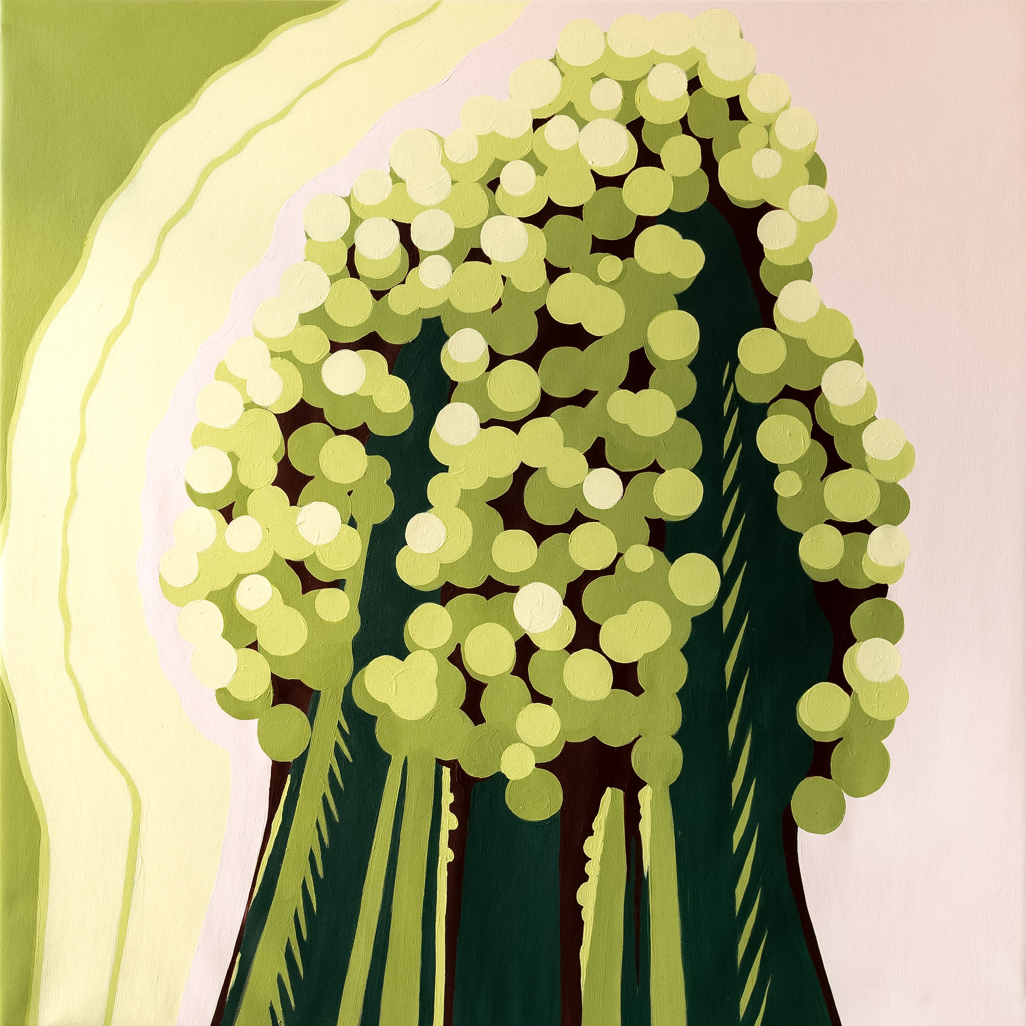 Candelabra Tree