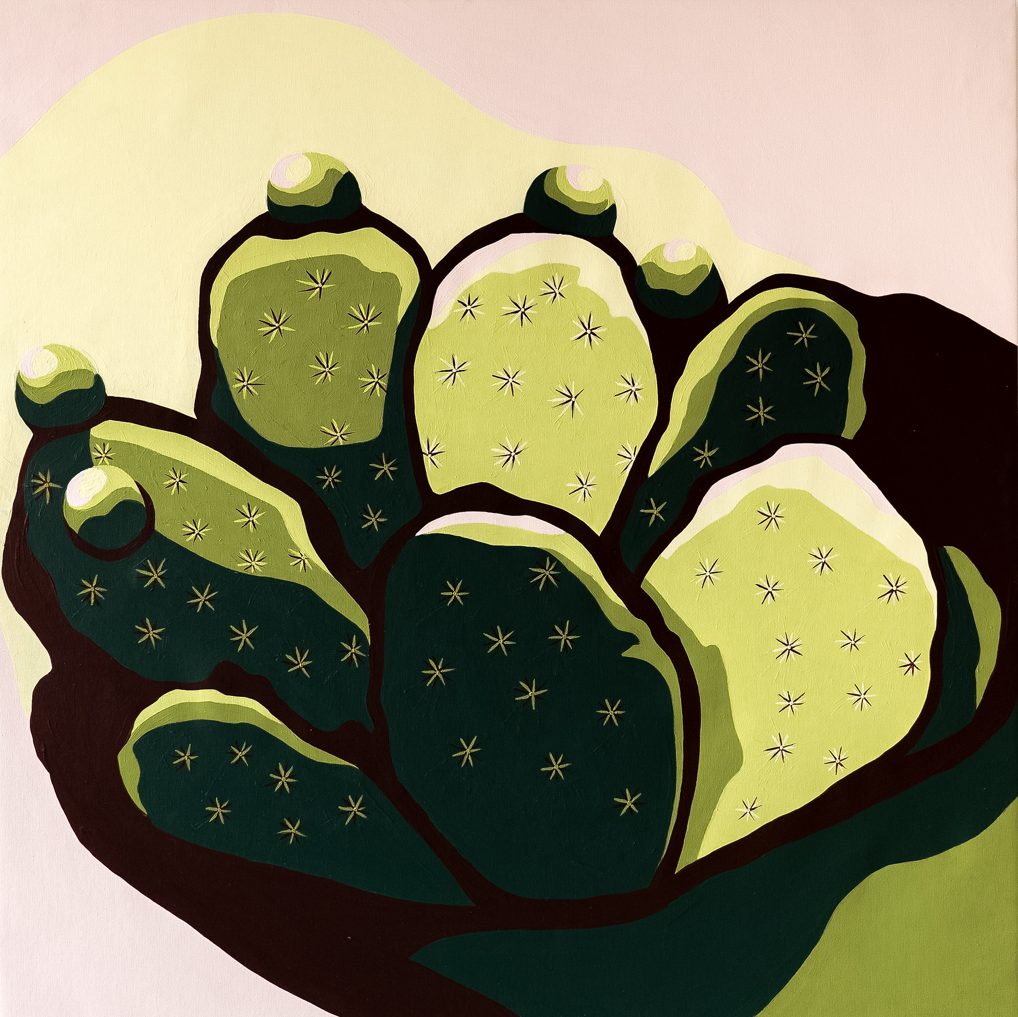 Edible Cactus